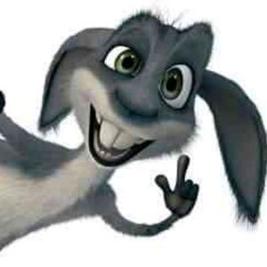 Meet your Posher, Shay